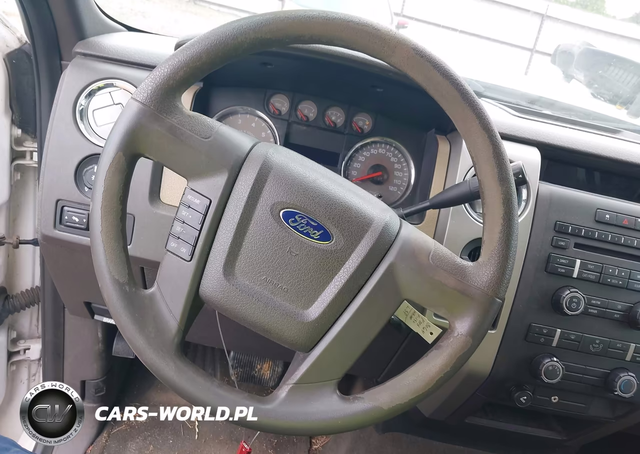 2010 Ford F-150 Fx2 Sport-Harley-Davidson-King Ranch-Lariat-Platinum-Xl-Xlt VIN:1FTFW1CV2AKC18064 - 21