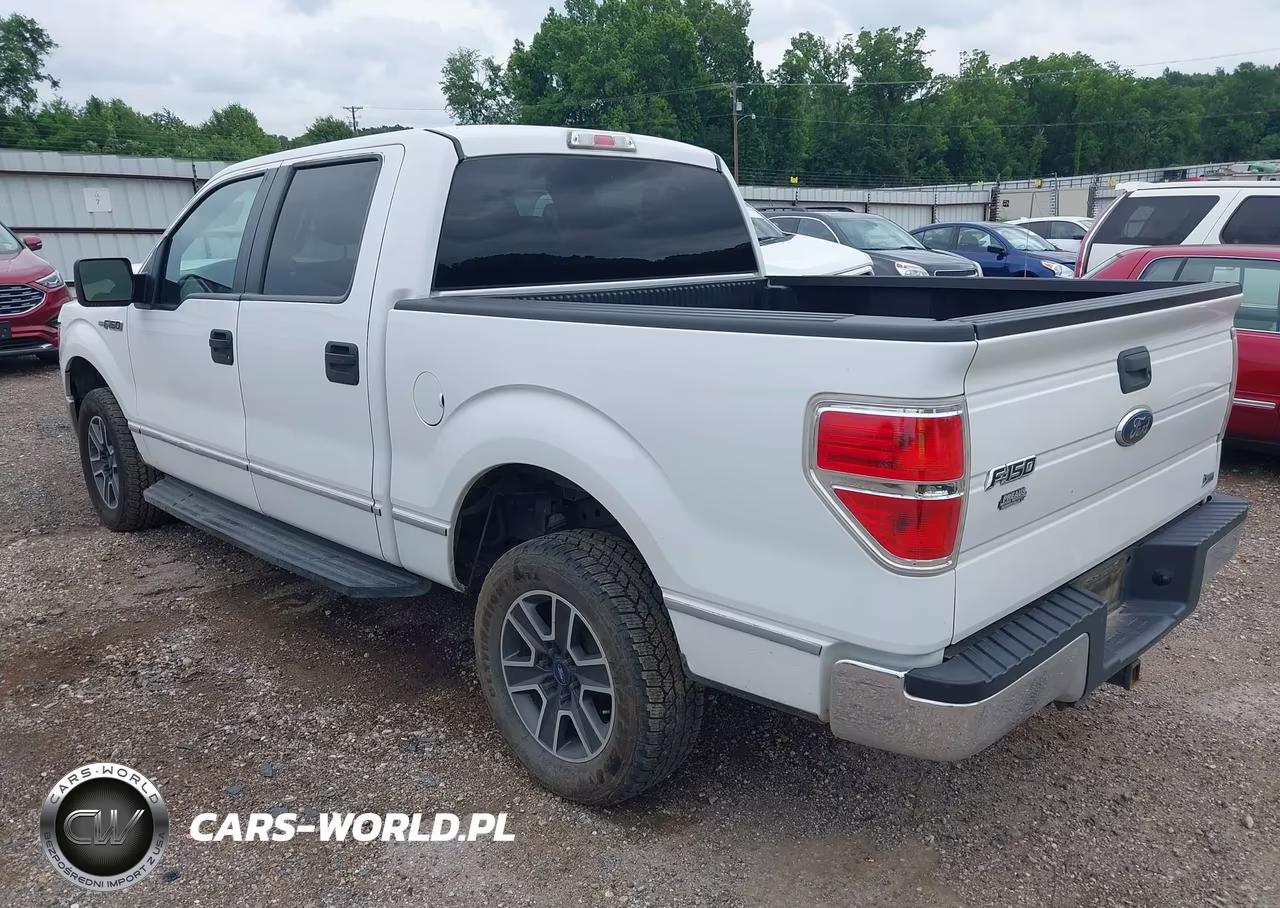 2010 Ford F-150 Fx2 Sport-Harley-Davidson-King Ranch-Lariat-Platinum-Xl-Xlt VIN:1FTFW1CV2AKC18064 - 3