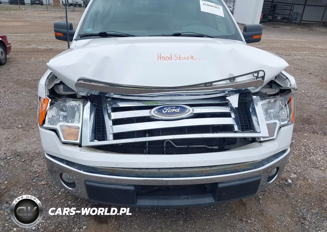 2010 Ford F-150 Fx2 Sport-Harley-Davidson-King Ranch-Lariat-Platinum-Xl-Xlt VIN:1FTFW1CV2AKC18064 - 6