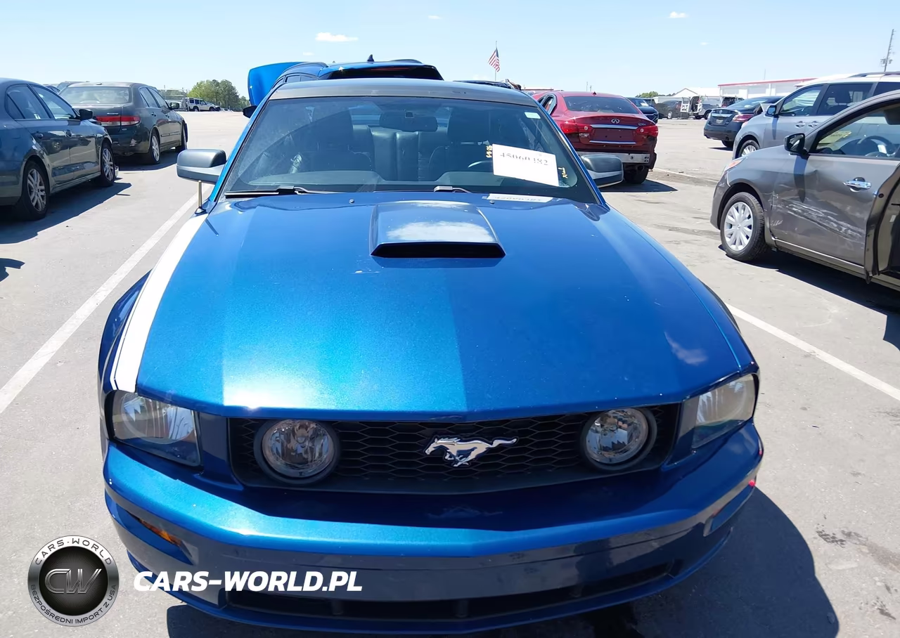 2009 Ford Mustang Gt-Gt Premium VIN:1ZVHT82H595105464 - 12