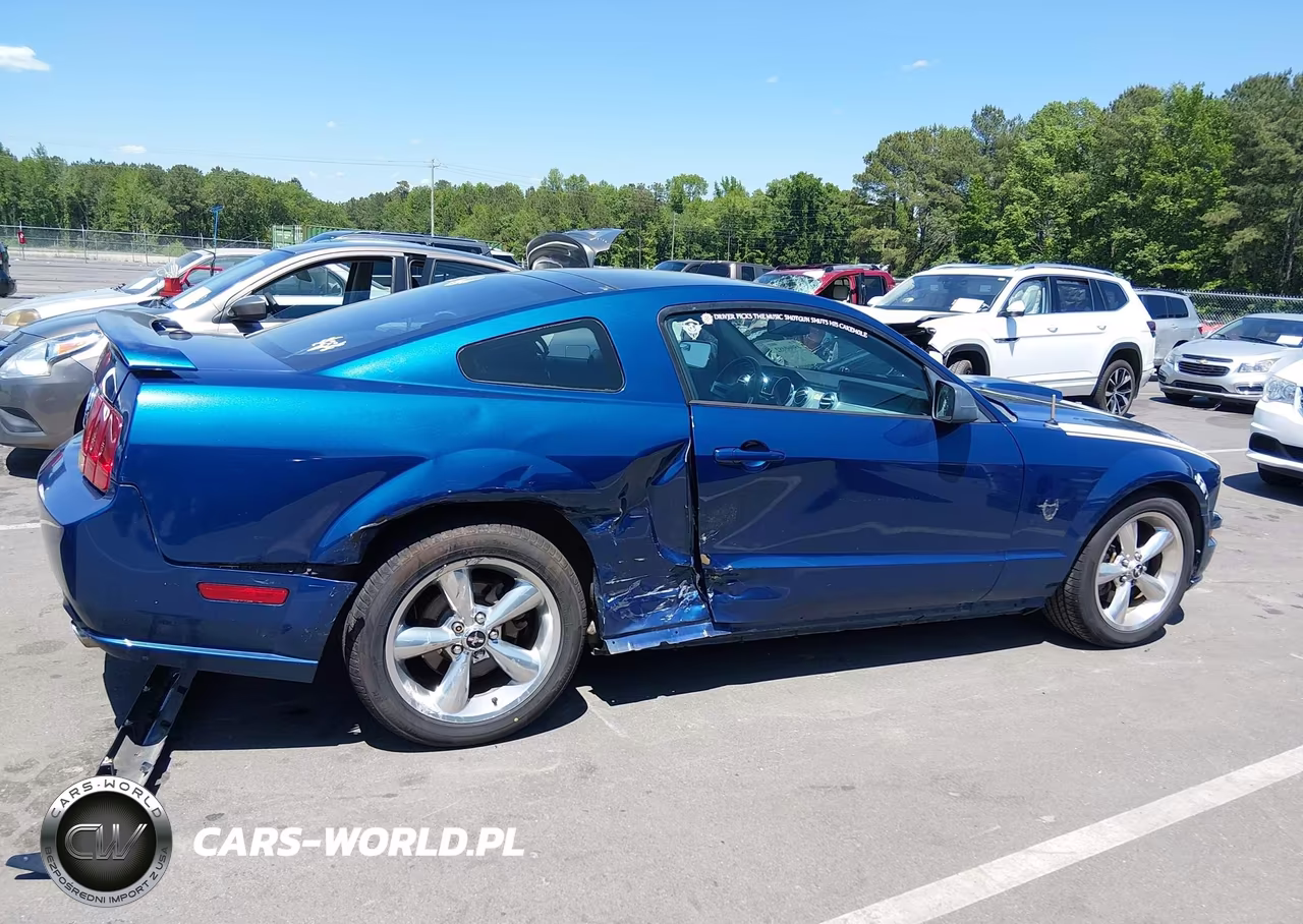 2009 Ford Mustang Gt-Gt Premium VIN:1ZVHT82H595105464 - 13
