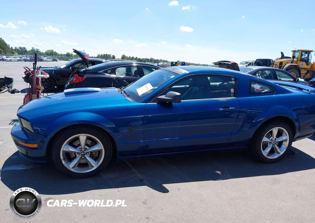 2009 Ford Mustang Gt-Gt Premium VIN:1ZVHT82H595105464 - 14