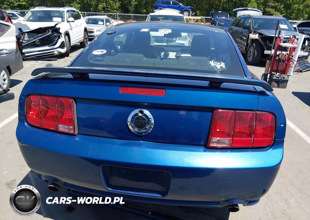 2009 Ford Mustang Gt-Gt Premium VIN:1ZVHT82H595105464 - 16