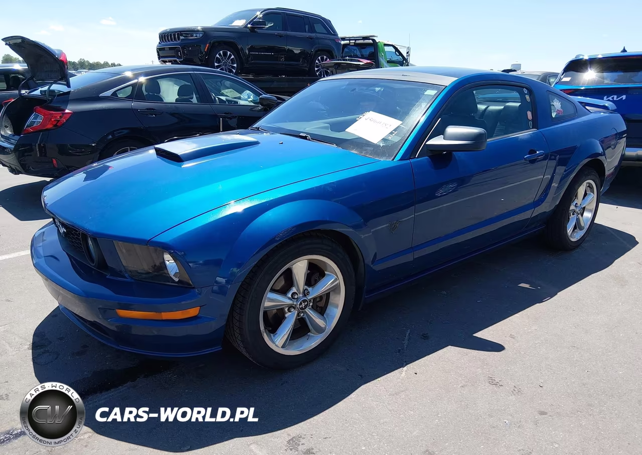 2009 Ford Mustang Gt-Gt Premium VIN:1ZVHT82H595105464 - 2