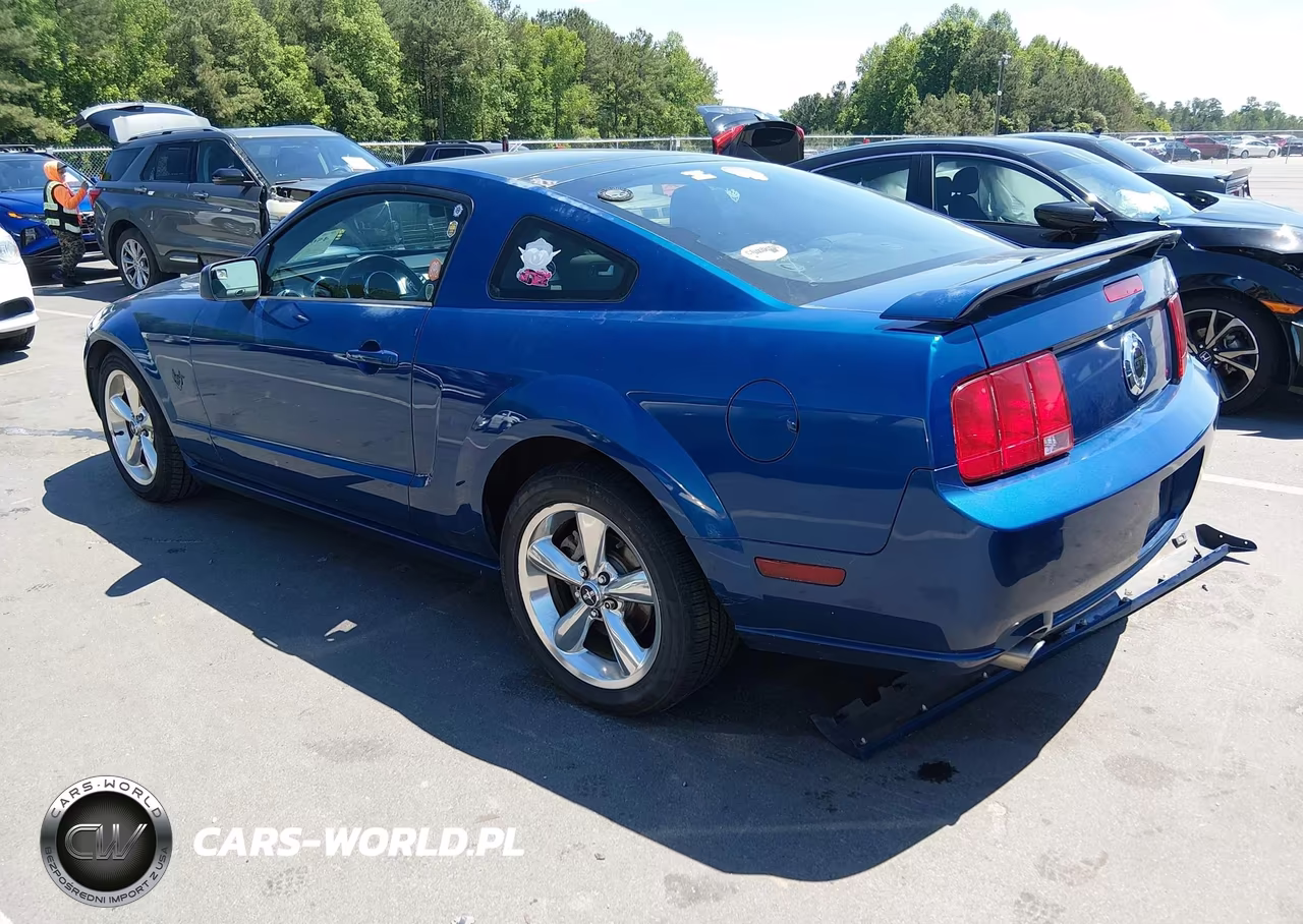 2009 Ford Mustang Gt-Gt Premium VIN:1ZVHT82H595105464 - 3