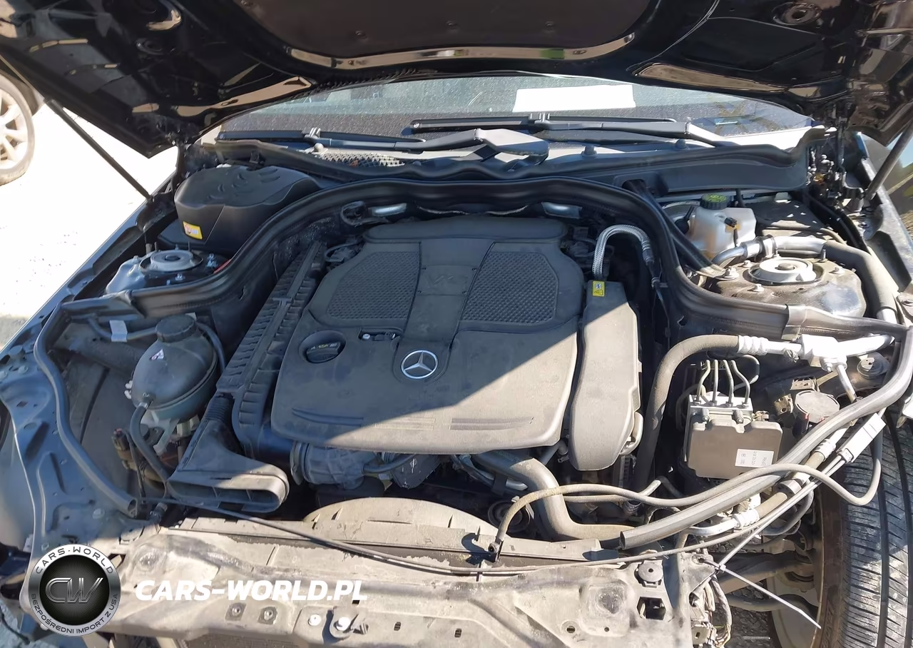 2014 Mercedes-Benz E 350 VIN:WDDHF5KB1EA831883 - 10