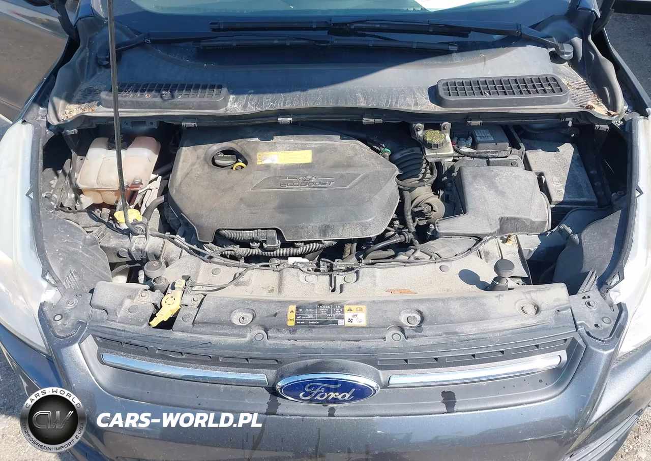 2015 Ford Escape Se VIN:1FMCU9GX5FUA97847 - 10