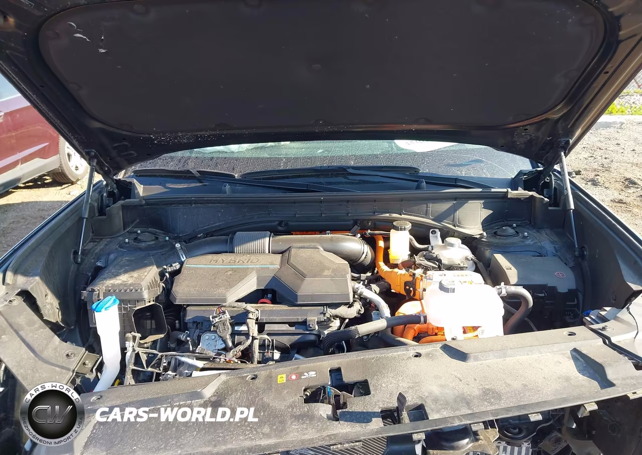 2025 Hyundai Santa Fe Hybrid Calligraphy VIN:5NMP5DG16SH042763 - 10