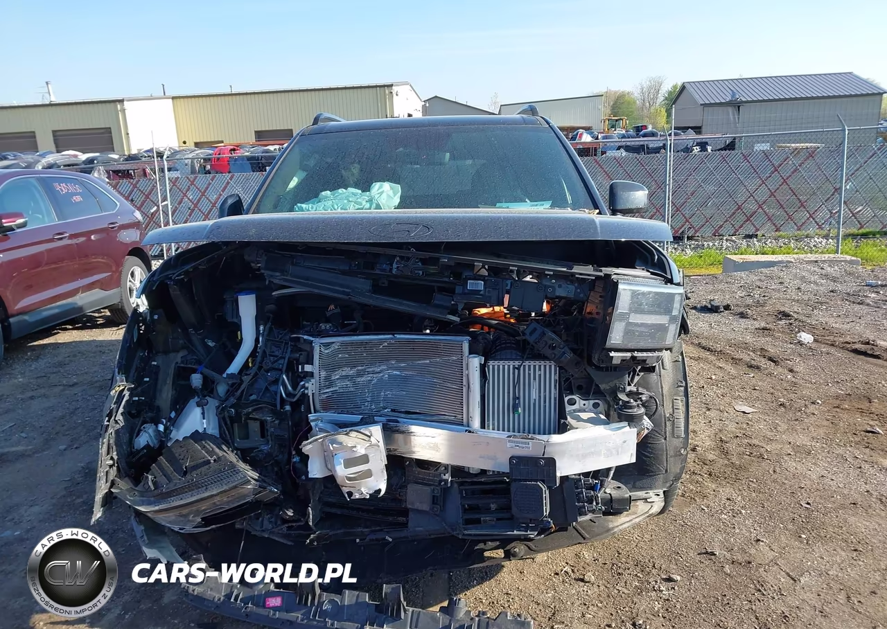 2025 Hyundai Santa Fe Hybrid Calligraphy VIN:5NMP5DG16SH042763 - 12