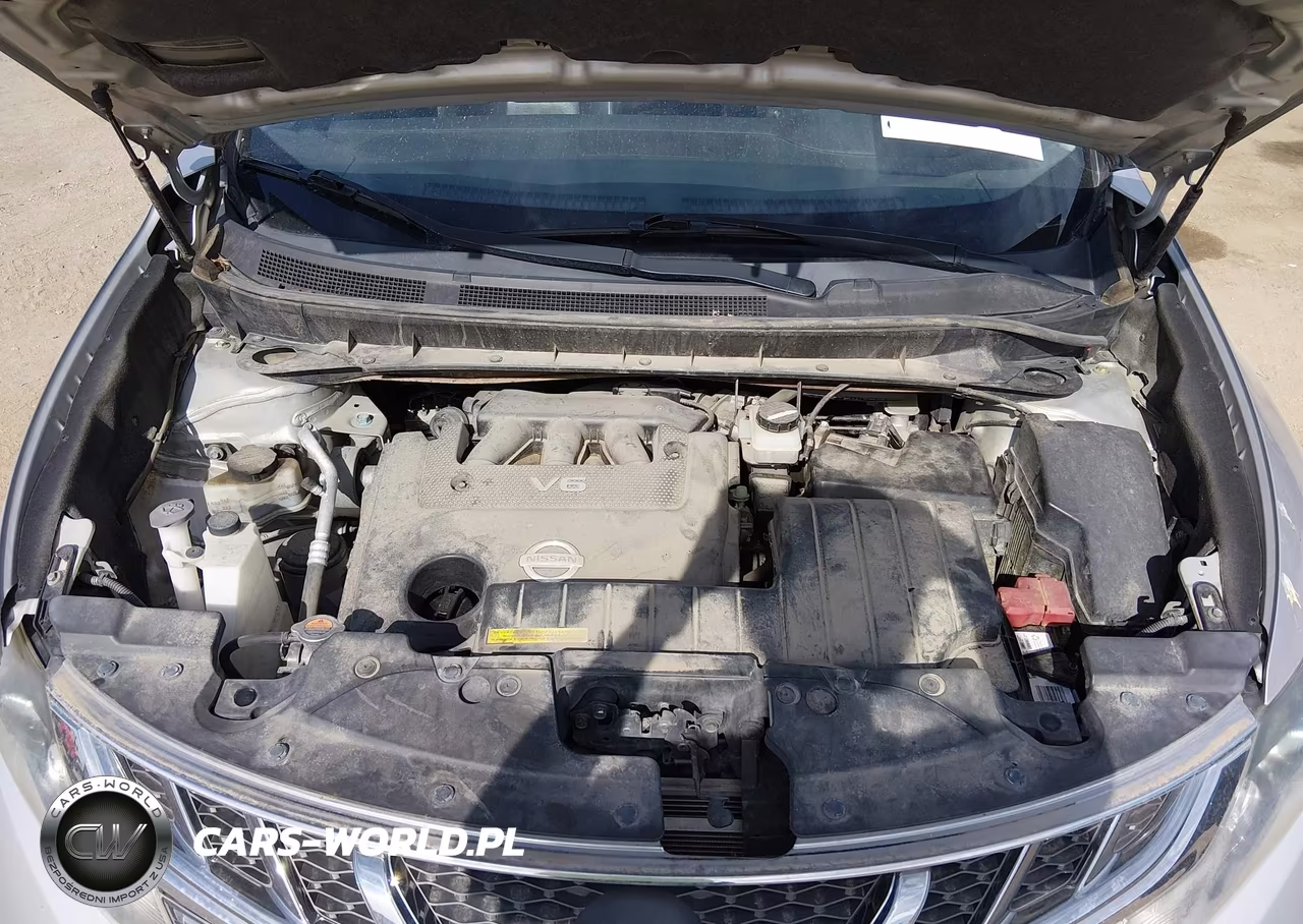 2012 Nissan Murano Sl VIN:JN8AZ1MW8CW229255 - 10