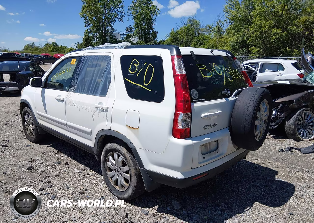 2005 Honda Cr-V Se VIN:JHLRD78925C003014 - 3