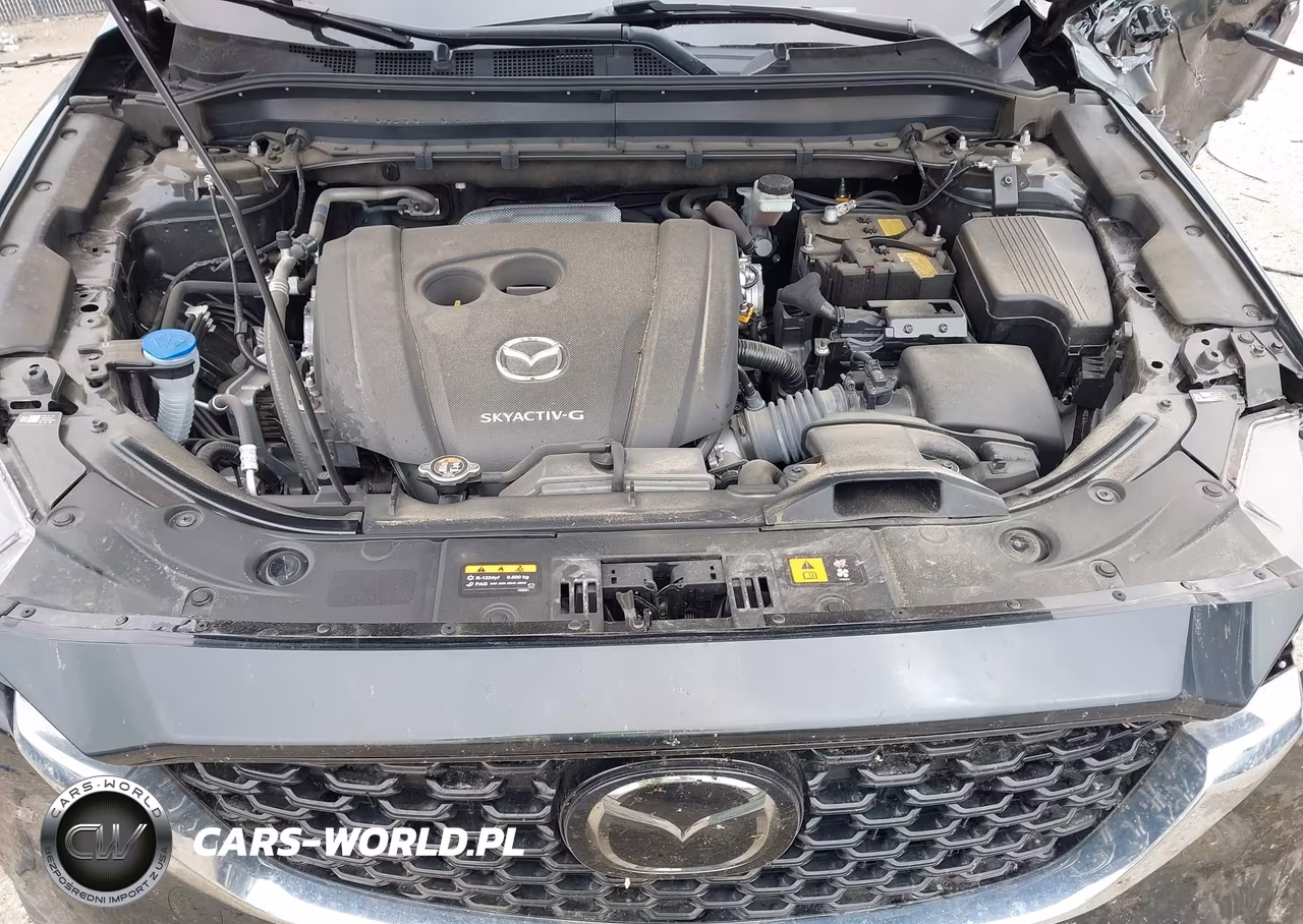 2023 Mazda Cx-5 2.5 S Premium Plus VIN:JM3KFBEM1P0267289 - 10
