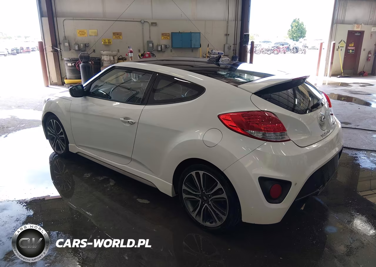 2016 Hyundai Veloster Turbo VIN:KMHTC6AE1GU300310 - 3