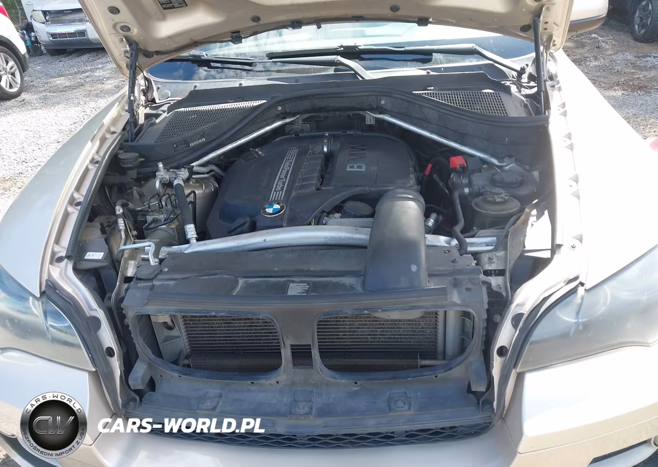 2013 BMW X6 xDrive35I VIN:5UXFG2C52DL788534 - 10