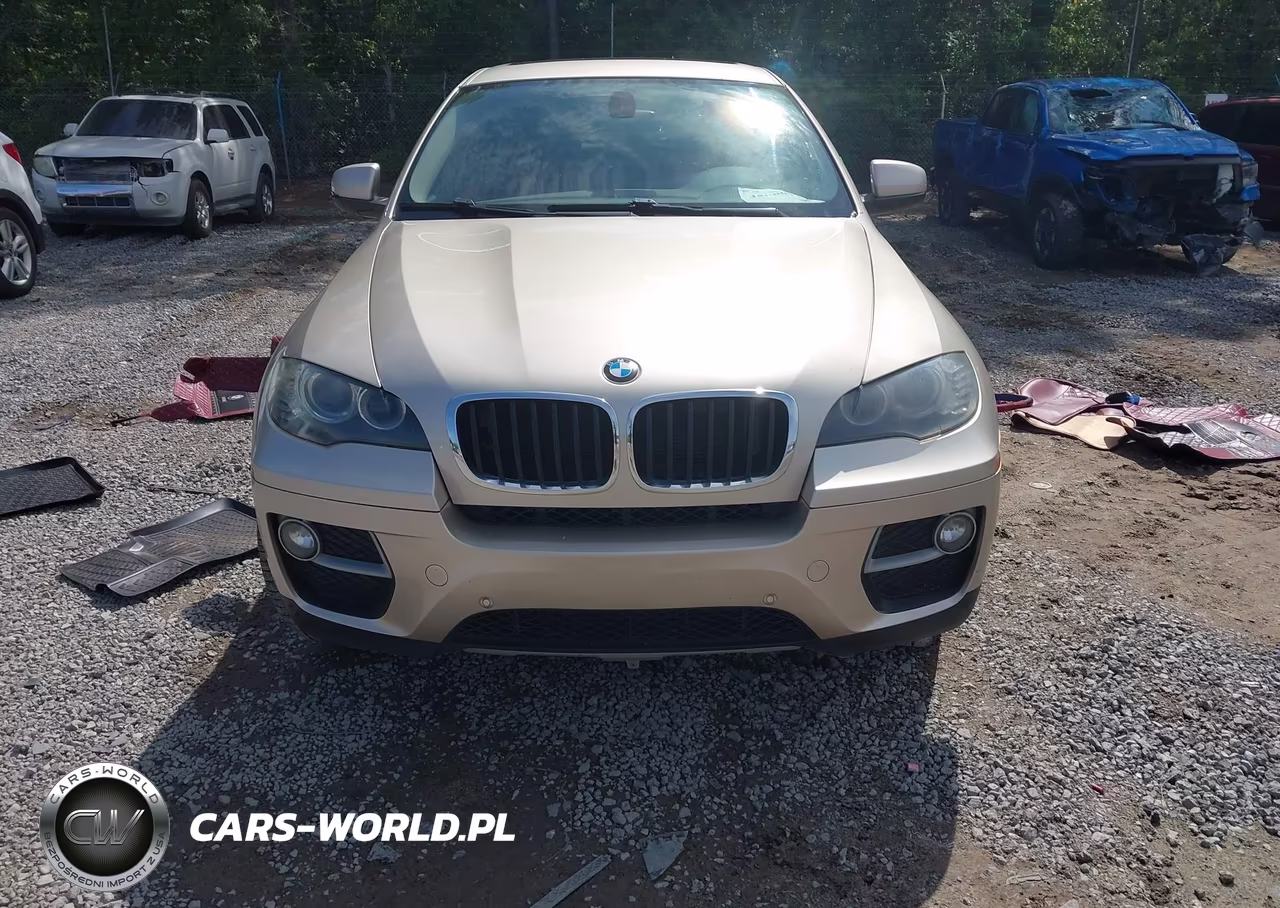 2013 BMW X6 xDrive35I VIN:5UXFG2C52DL788534 - 11