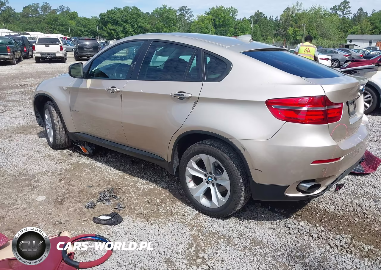 2013 BMW X6 xDrive35I VIN:5UXFG2C52DL788534 - 3