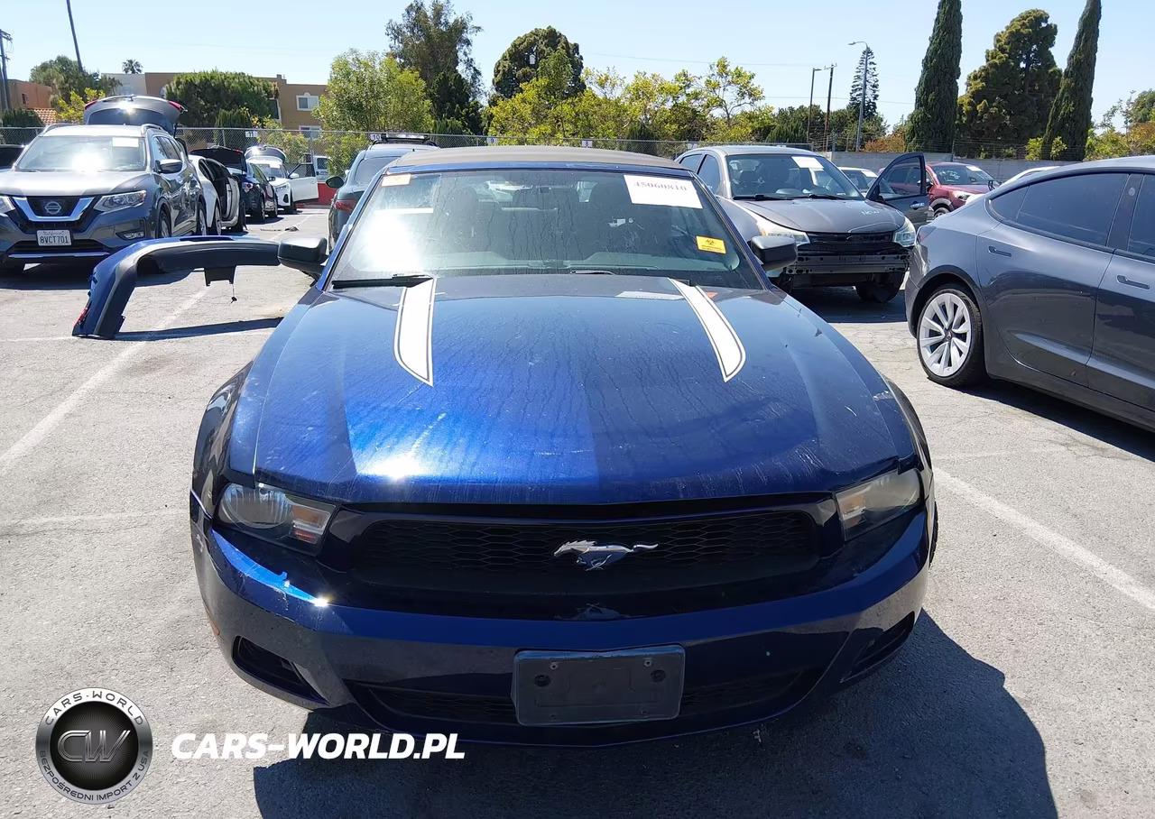 2010 Ford Mustang V6-V6 Premium VIN:1ZVBP8EN3A5175514 - 13