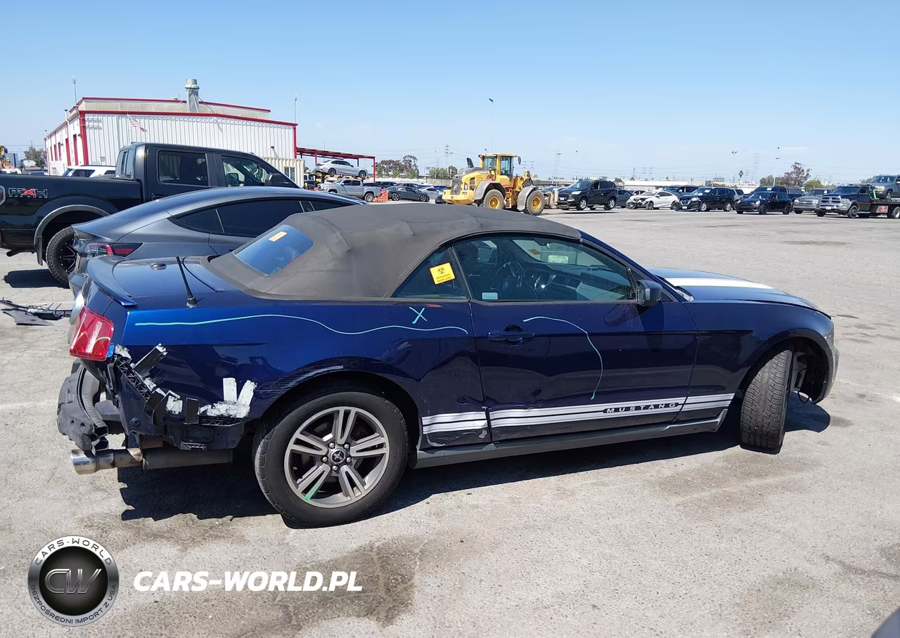 2010 Ford Mustang V6-V6 Premium VIN:1ZVBP8EN3A5175514 - 14