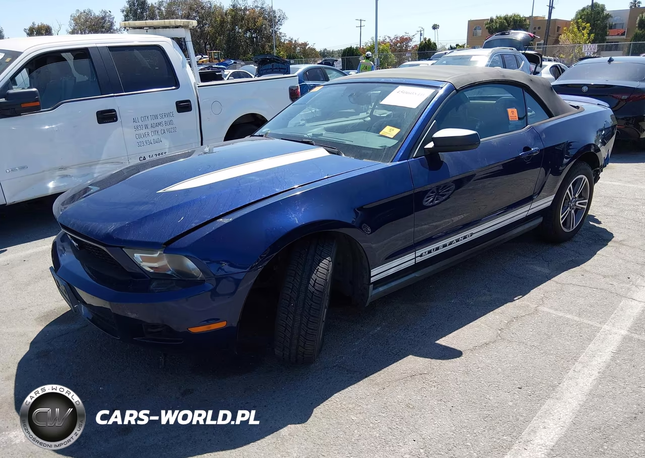 2010 Ford Mustang V6-V6 Premium VIN:1ZVBP8EN3A5175514 - 2