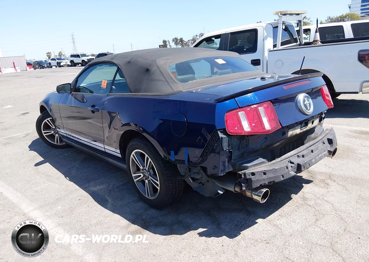 2010 Ford Mustang V6-V6 Premium VIN:1ZVBP8EN3A5175514 - 3
