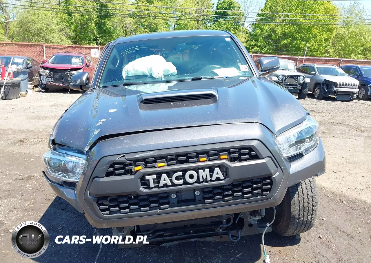 2023 Toyota Tacoma Trd Off Road VIN:3TYCZ5AN5PT128353 - 12