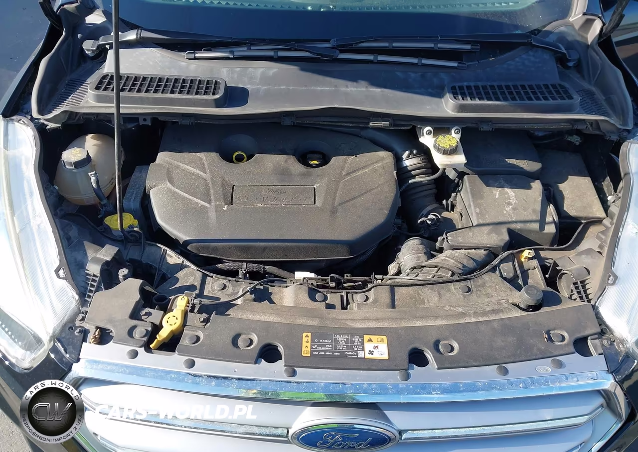 2017 Ford Escape Se VIN:1FMCU0G94HUA24274 - 10