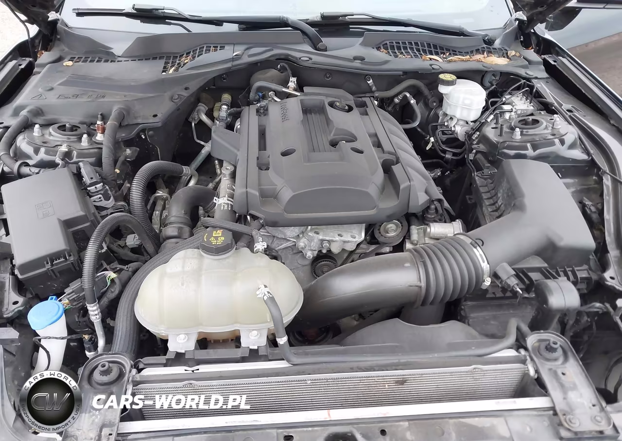 2020 Ford Mustang Ecoboost Fastback VIN:1FA6P8THXL5186858 - 10