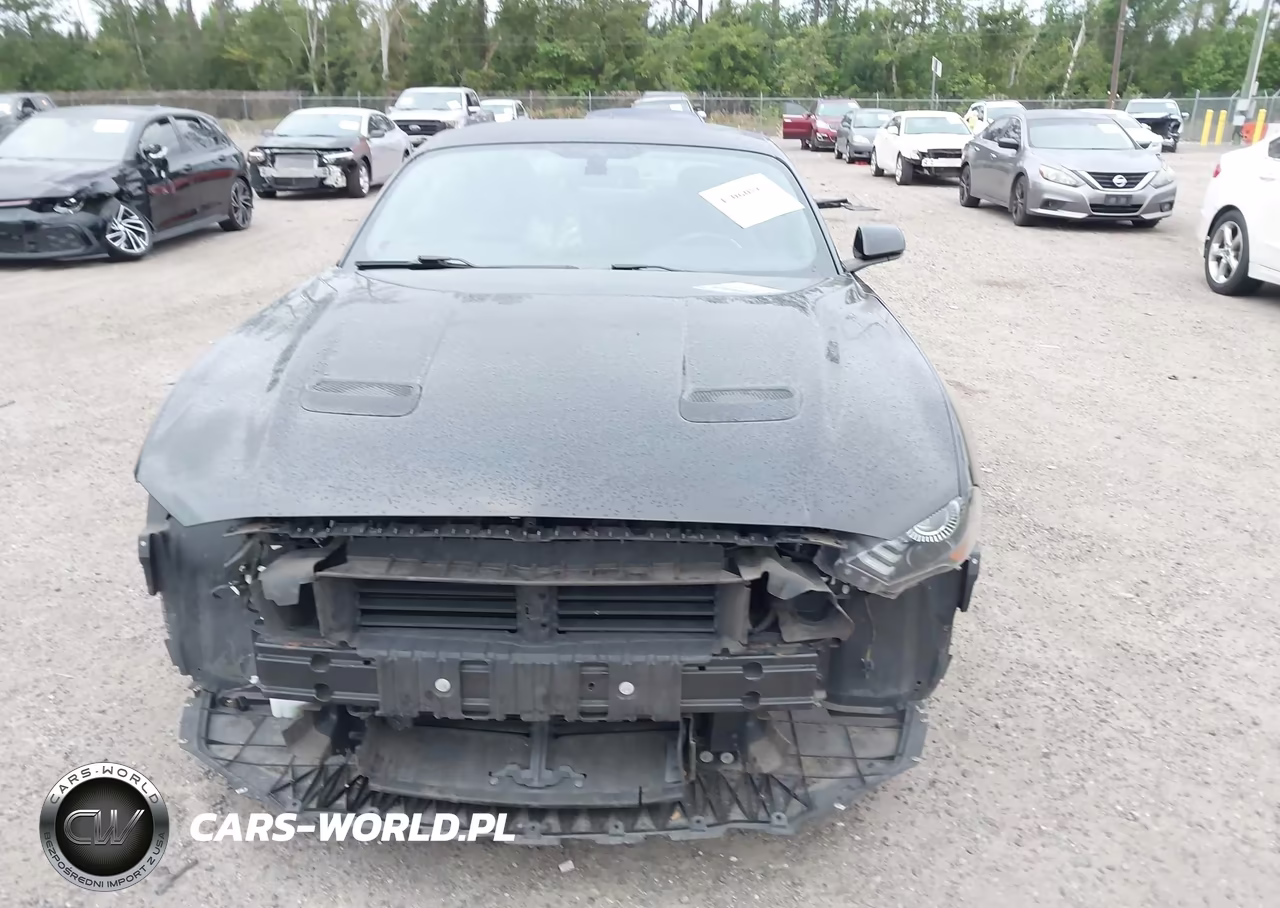 2020 Ford Mustang Ecoboost Fastback VIN:1FA6P8THXL5186858 - 12