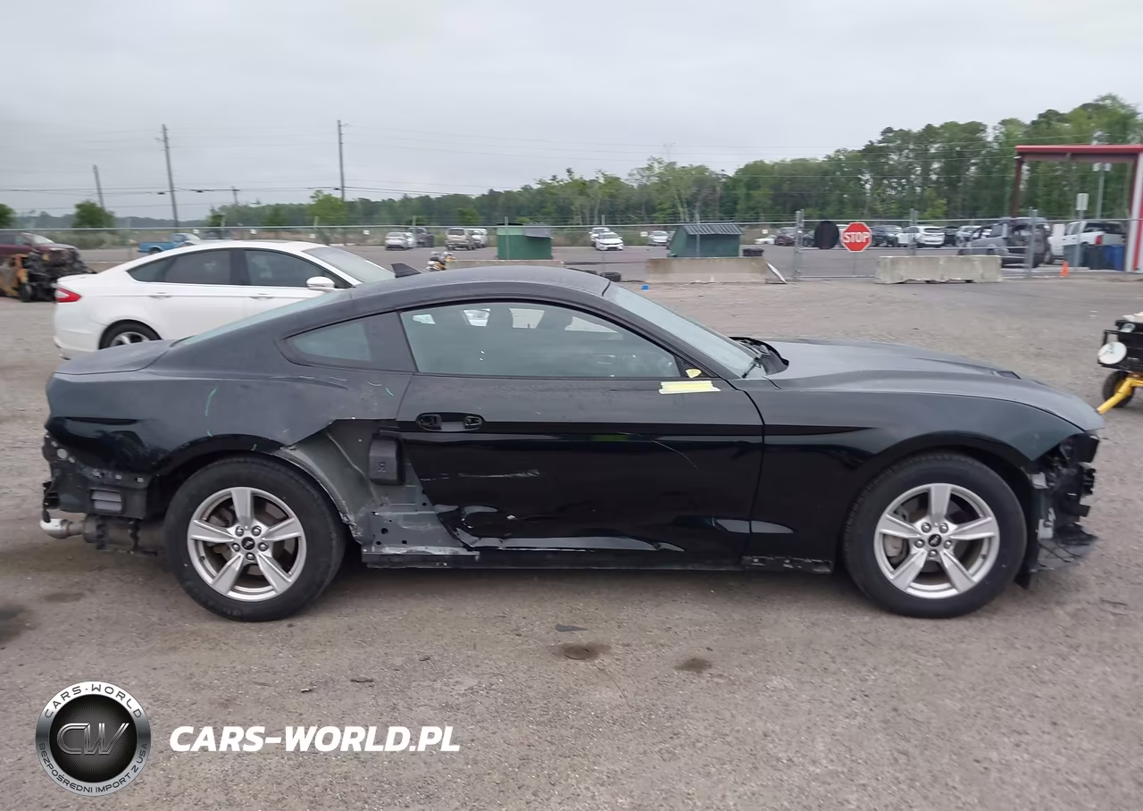 2020 Ford Mustang Ecoboost Fastback VIN:1FA6P8THXL5186858 - 13