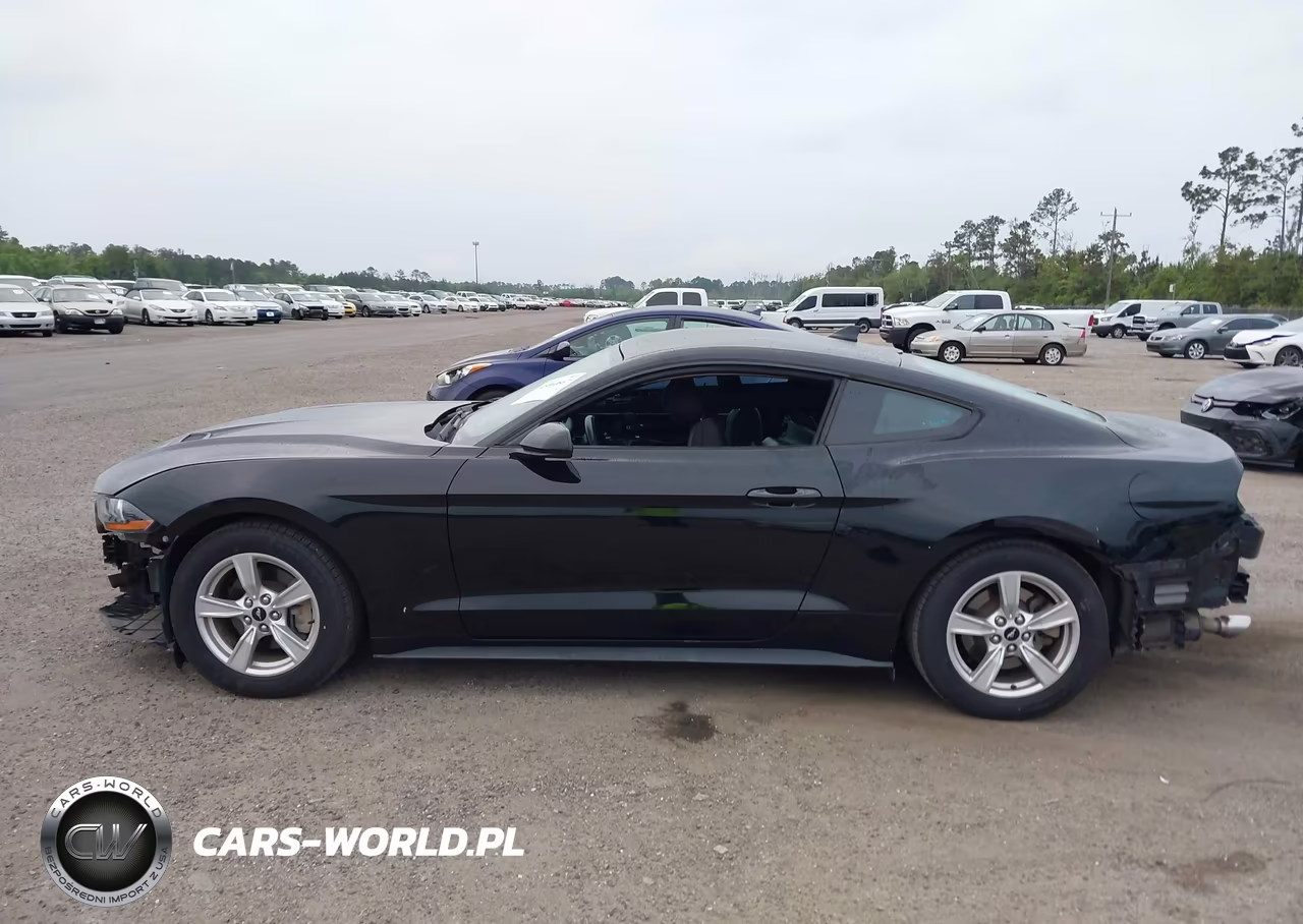 2020 Ford Mustang Ecoboost Fastback VIN:1FA6P8THXL5186858 - 14