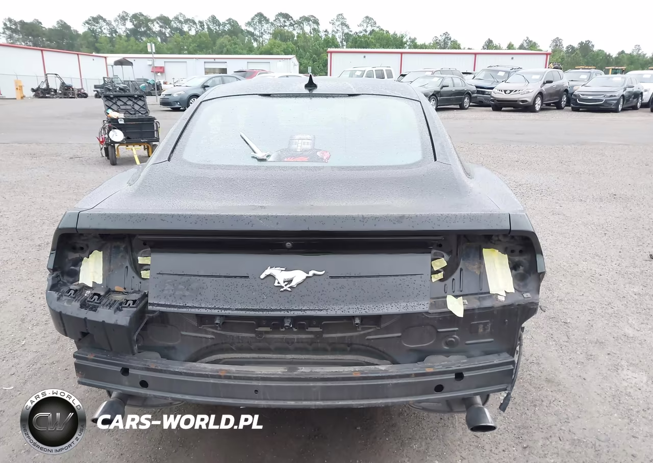 2020 Ford Mustang Ecoboost Fastback VIN:1FA6P8THXL5186858 - 16