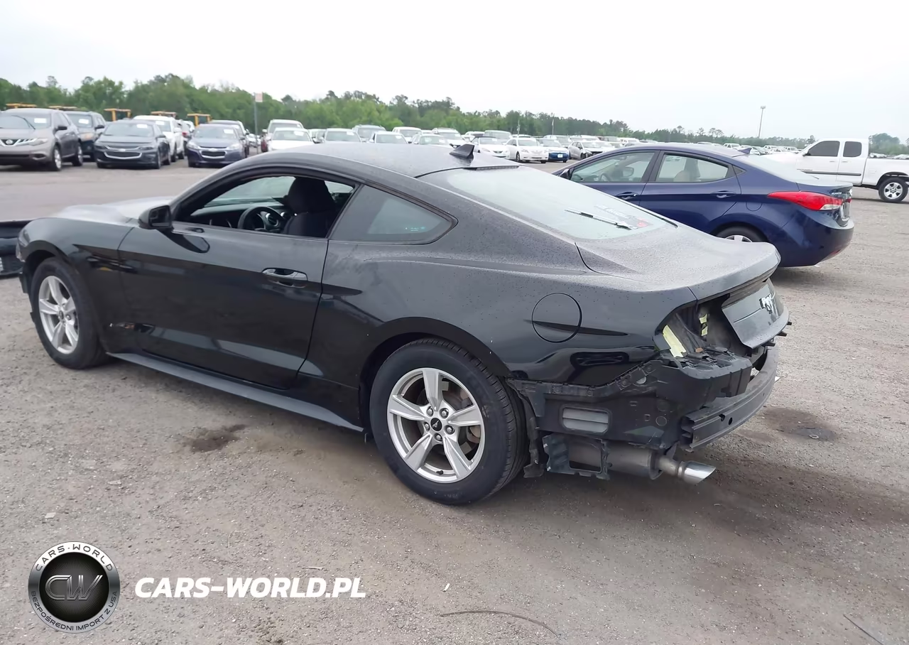 2020 Ford Mustang Ecoboost Fastback VIN:1FA6P8THXL5186858 - 3