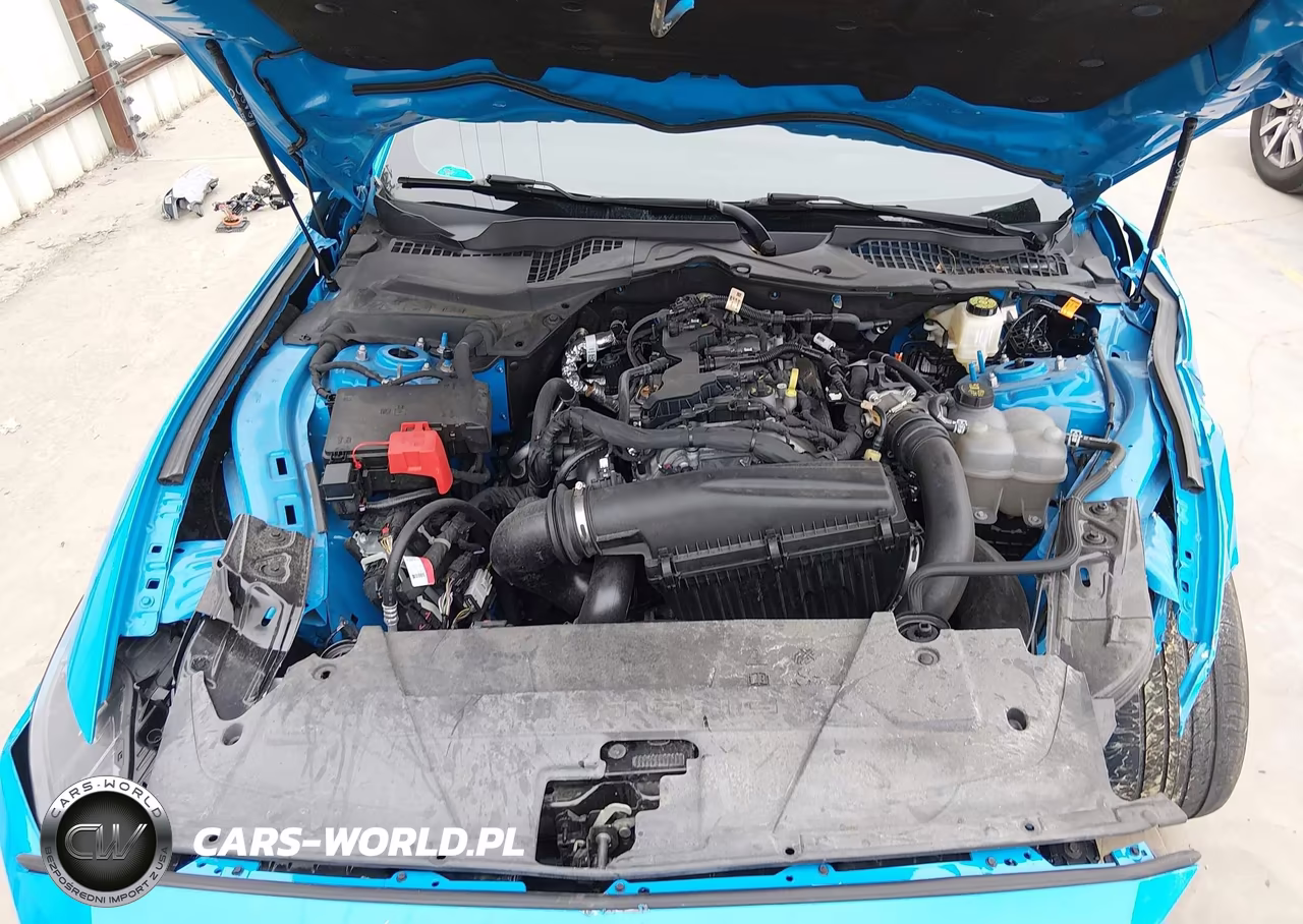 2024 Ford Mustang Ecoboost Premium Fastback VIN:1FA6P8TH1R5136245 - 10