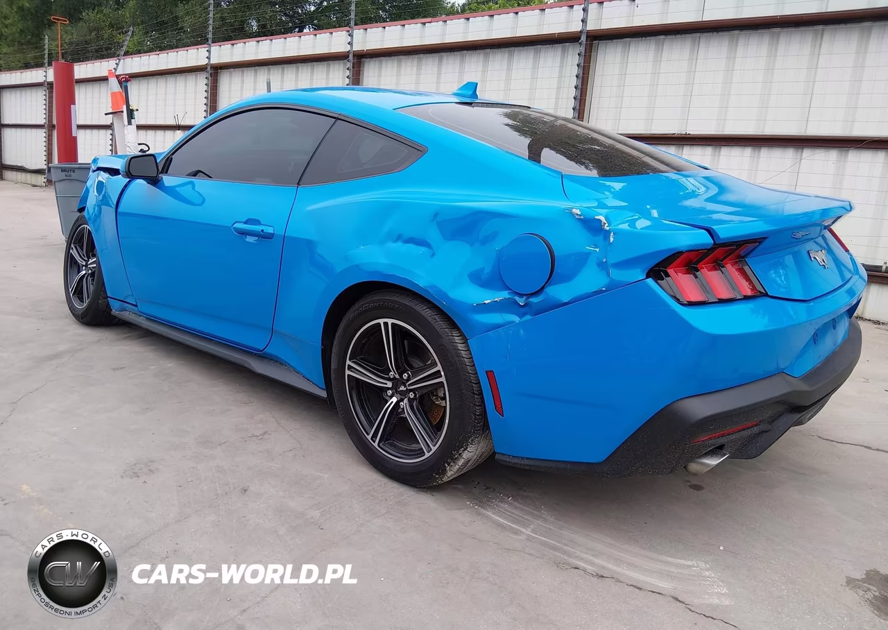 2024 Ford Mustang Ecoboost Premium Fastback VIN:1FA6P8TH1R5136245 - 3