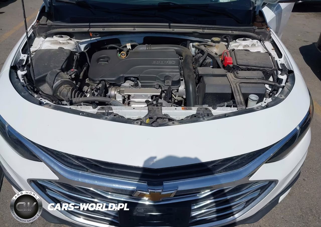 2020 Chevrolet Malibu Fwd Lt VIN:1G1ZD5ST3LF093994 - 10