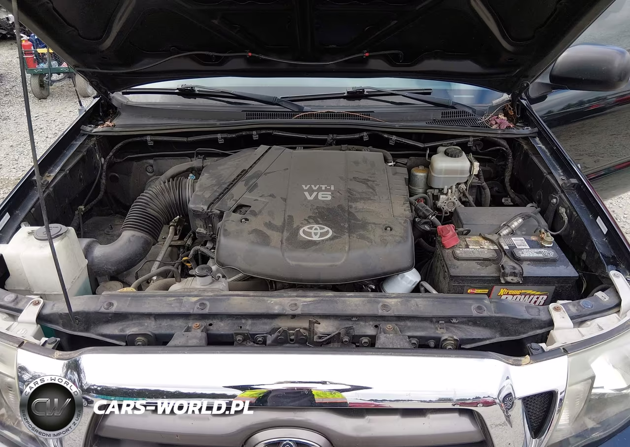 2009 Toyota Tacoma Base V6 VIN:5TELU42N49Z599032 - 10