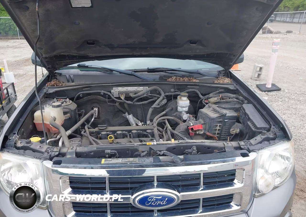 2011 Ford Escape Xlt VIN:1FMCU0D71BKC28942 - 10