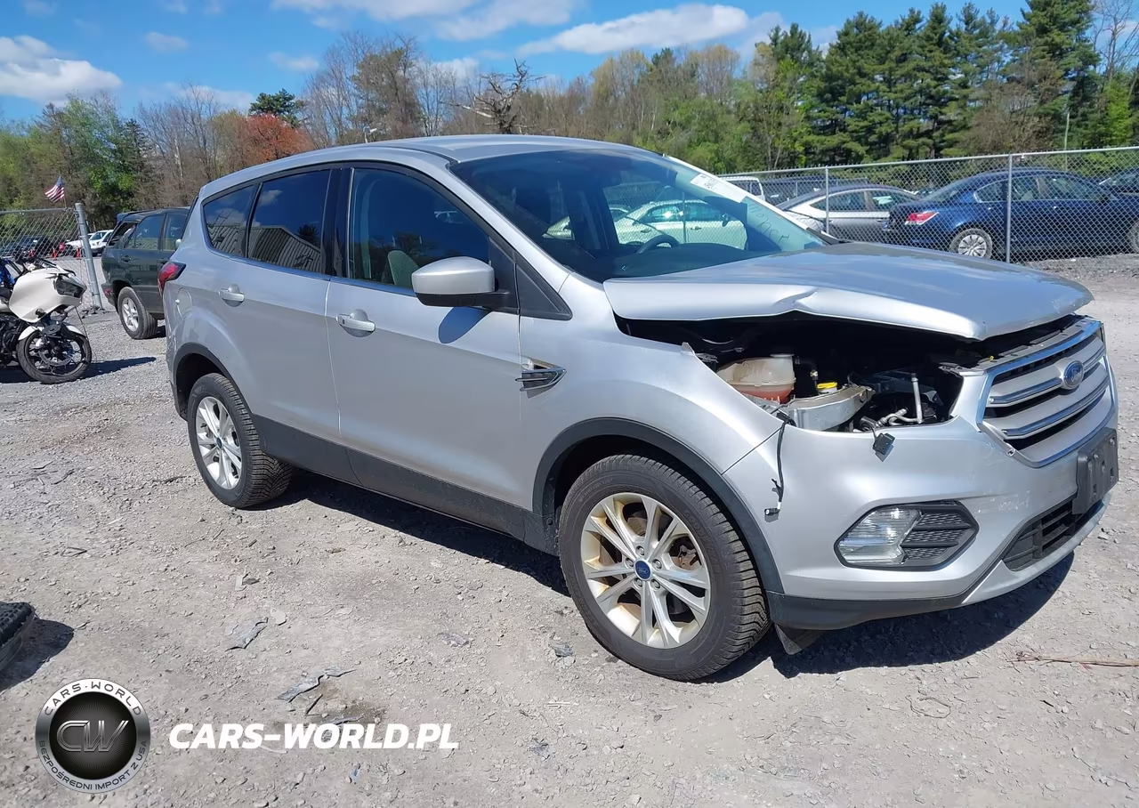 2019 Ford Escape Se