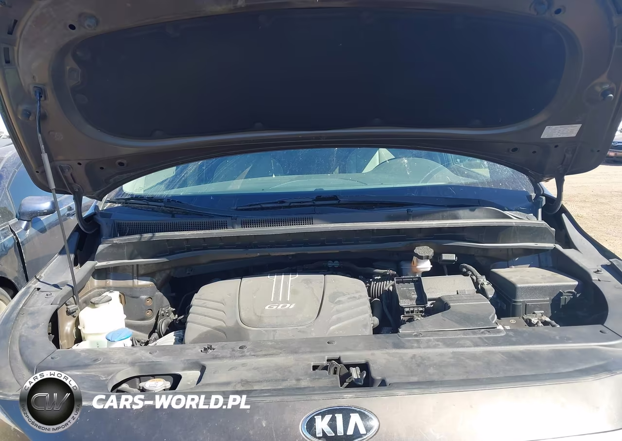 2016 Kia Sedona Sx VIN:KNDMC5C16G6144122 - 10