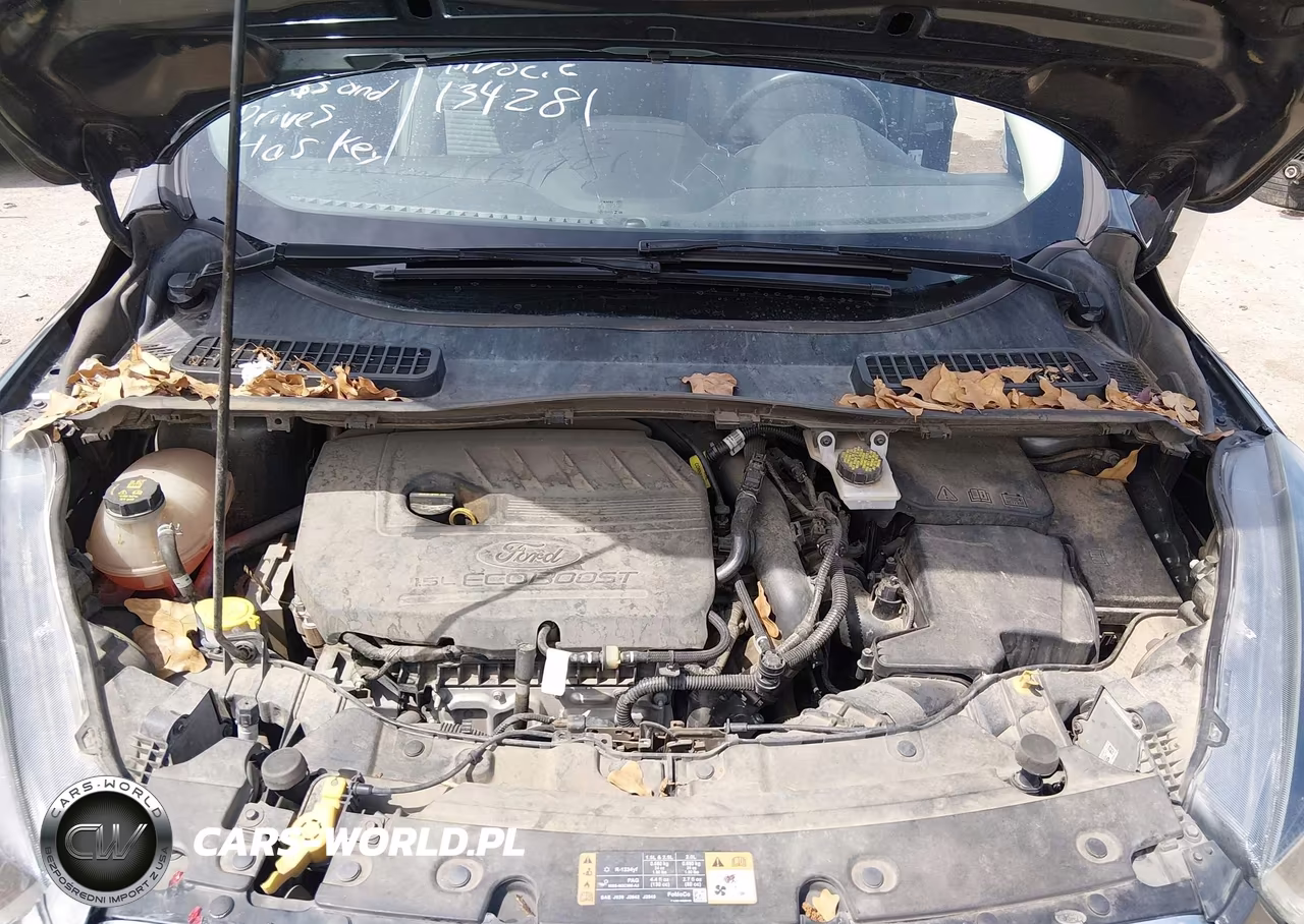 2017 Ford Escape Se VIN:1FMCU0GD1HUC31516 - 10