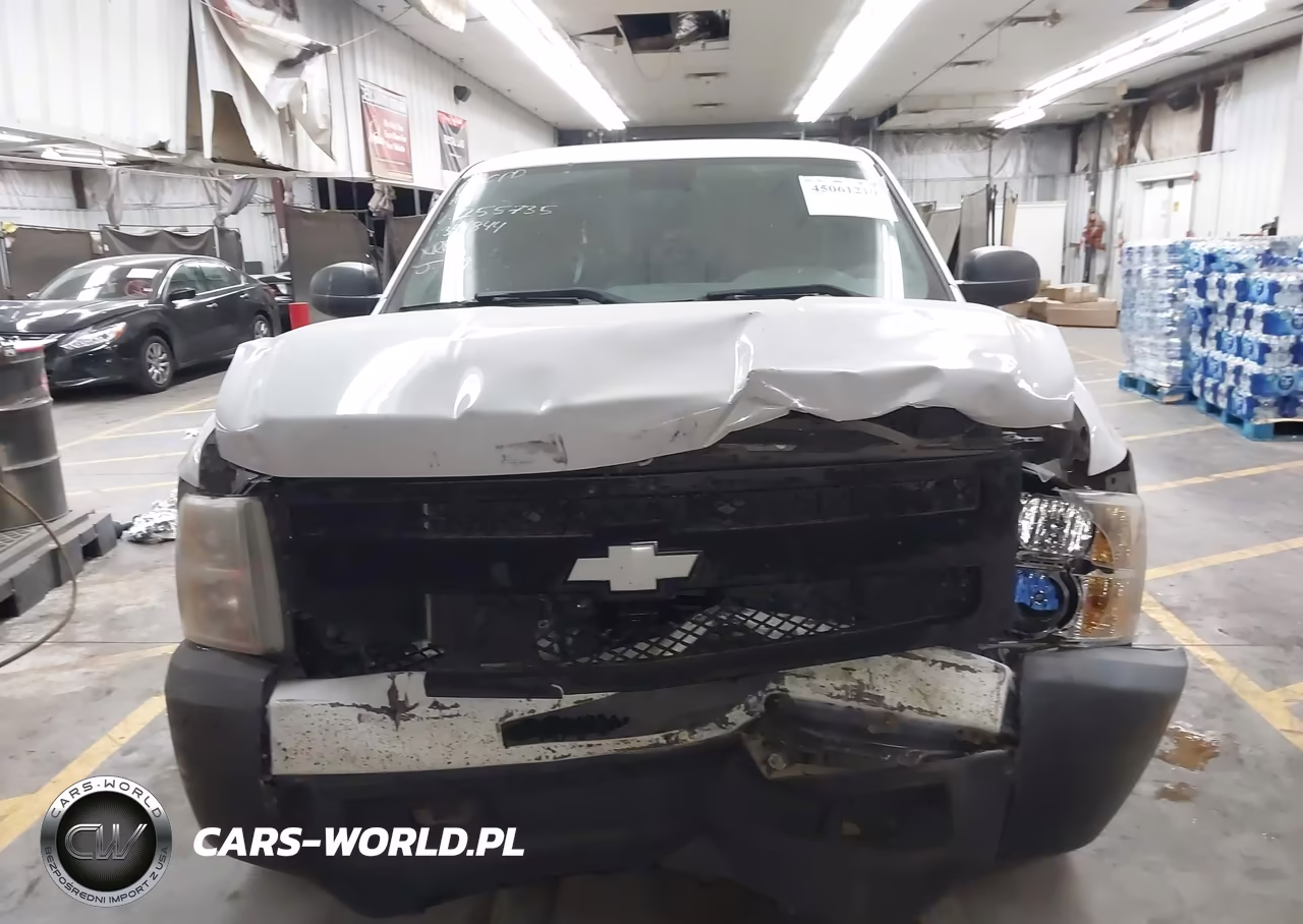 2012 Chevrolet Silverado 1500 Work Truck VIN:1GCRCPEX8CZ255735 - 11