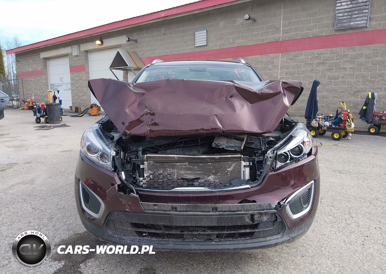 2018 Kia Sorento 3.3L Lx VIN:5XYPGDA54JG421999 - 13