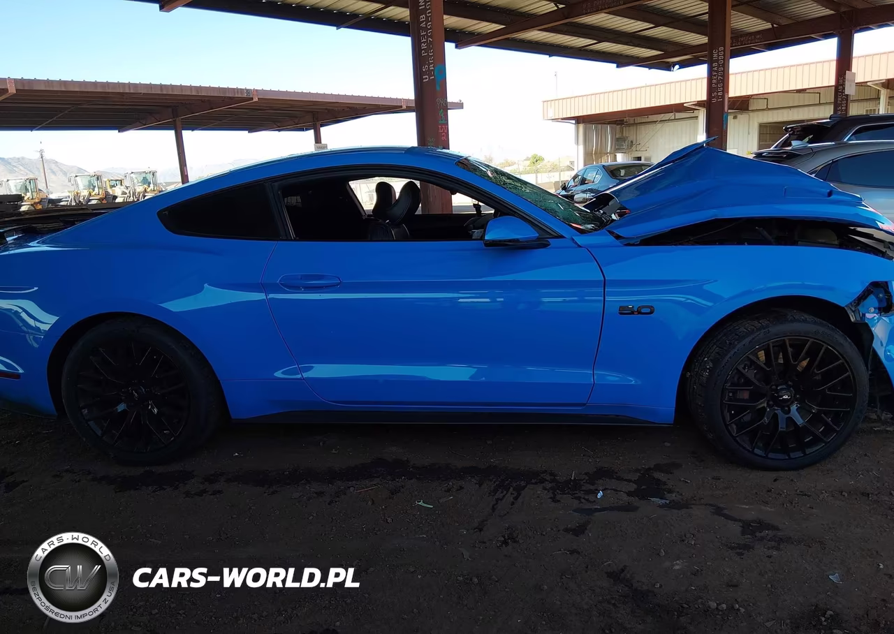 2017 Ford Mustang Gt Premium VIN:1FA6P8CF3H5271966 - 13