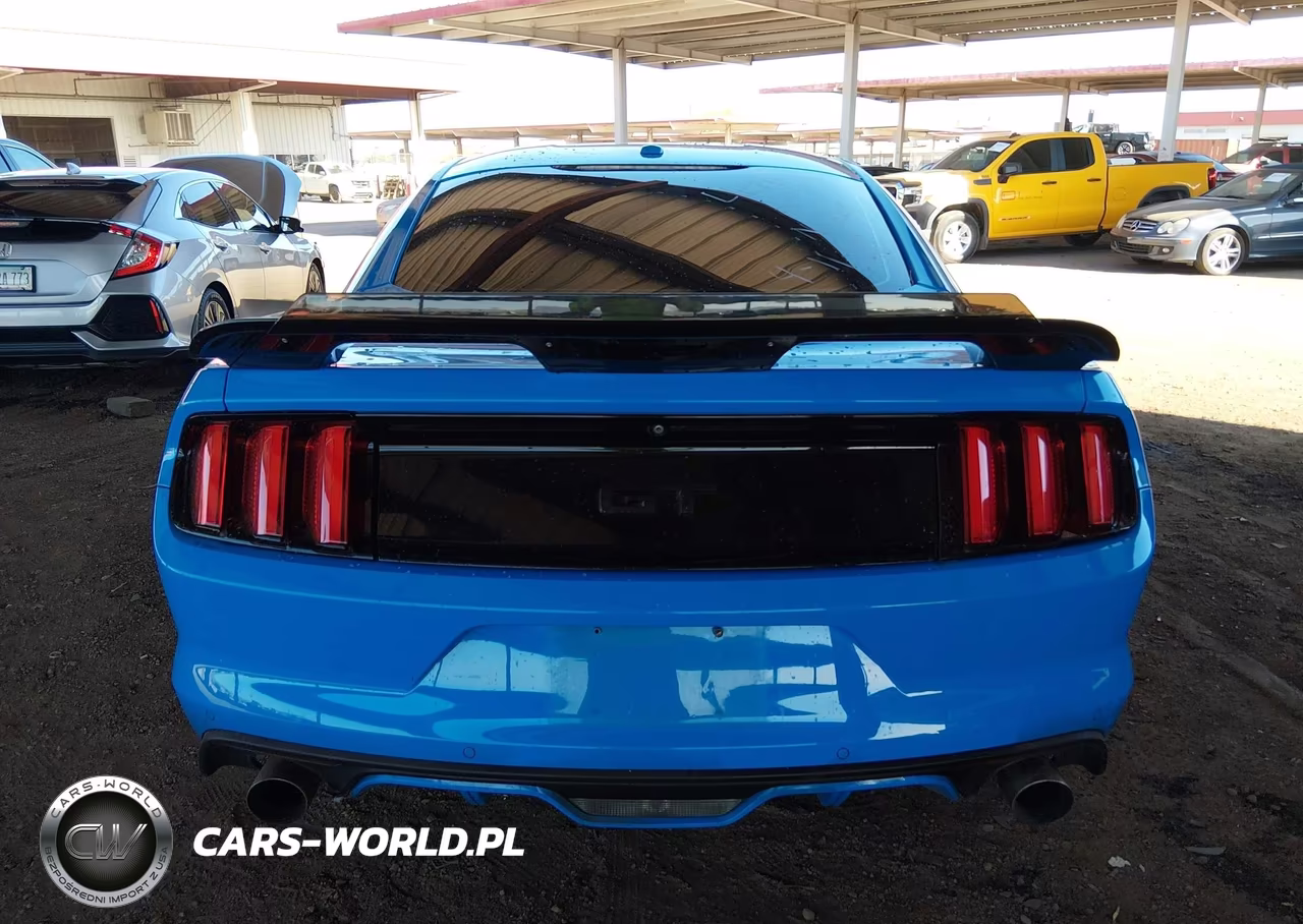 2017 Ford Mustang Gt Premium VIN:1FA6P8CF3H5271966 - 16