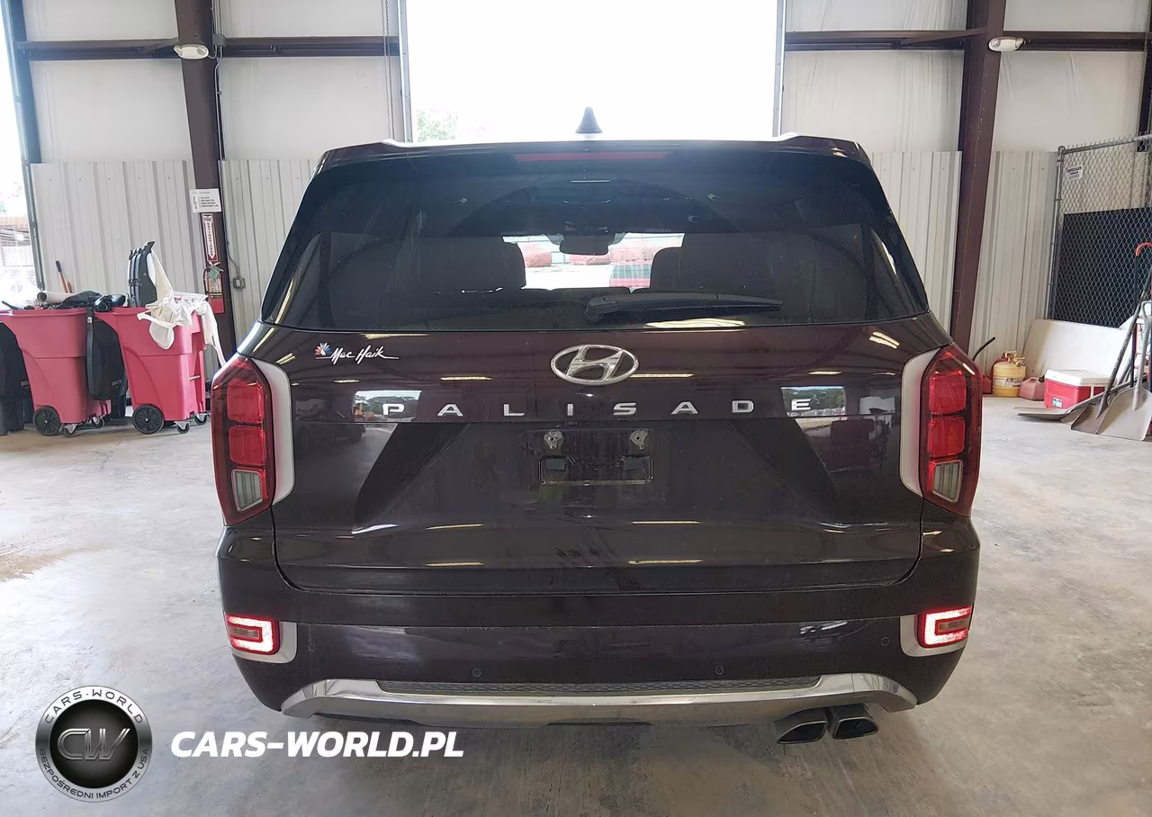 2020 Hyundai Palisade Limited VIN:KM8R54HE0LU144074 - 17