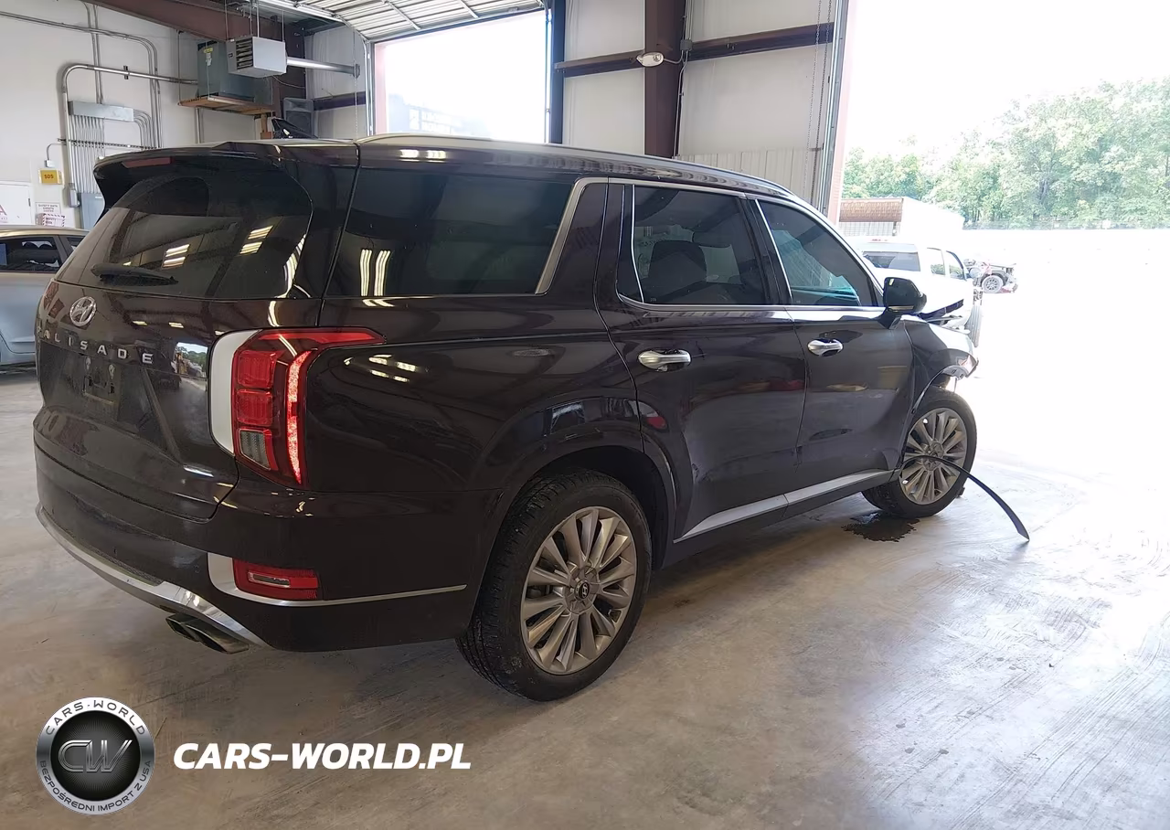 2020 Hyundai Palisade Limited VIN:KM8R54HE0LU144074 - 4