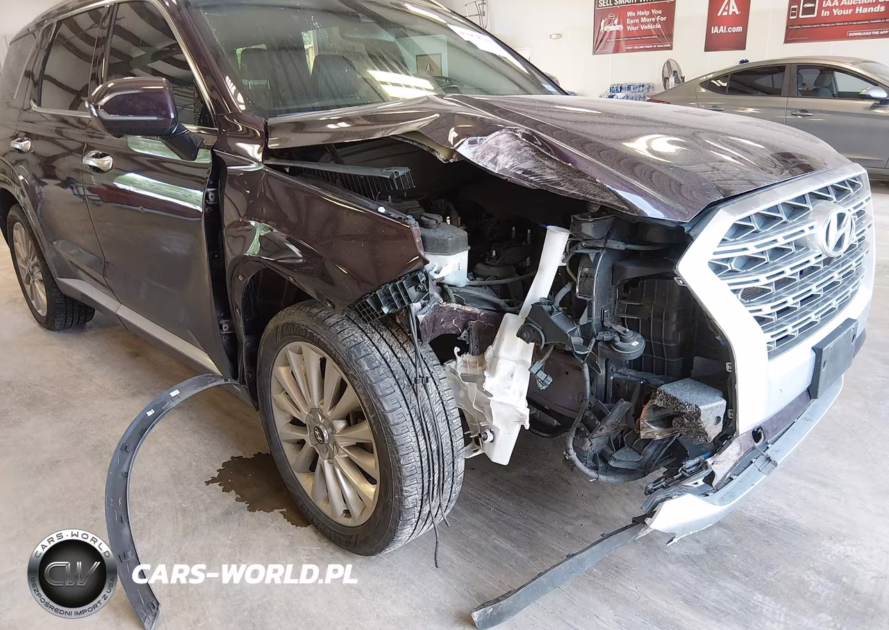 2020 Hyundai Palisade Limited VIN:KM8R54HE0LU144074 - 6