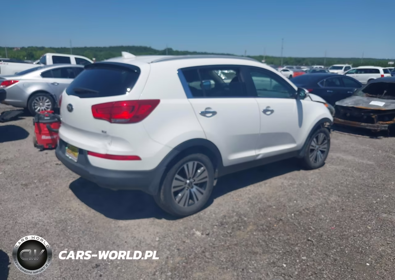 2015 Kia Sportage Ex VIN:KNDPC3AC8F7765943 - 4