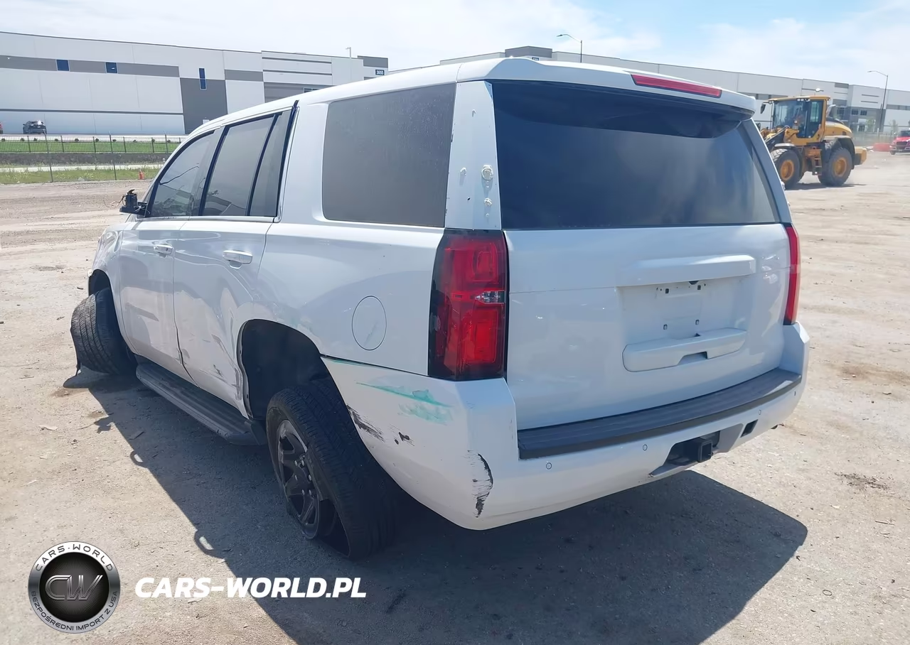 2019 Chevrolet Tahoe Commercial Fleet VIN:1GNLCDEC7KR342498 - 3