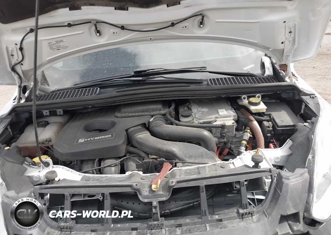 2015 Ford C-Max Hybrid Se VIN:1FADP5AU9FL123191 - 10